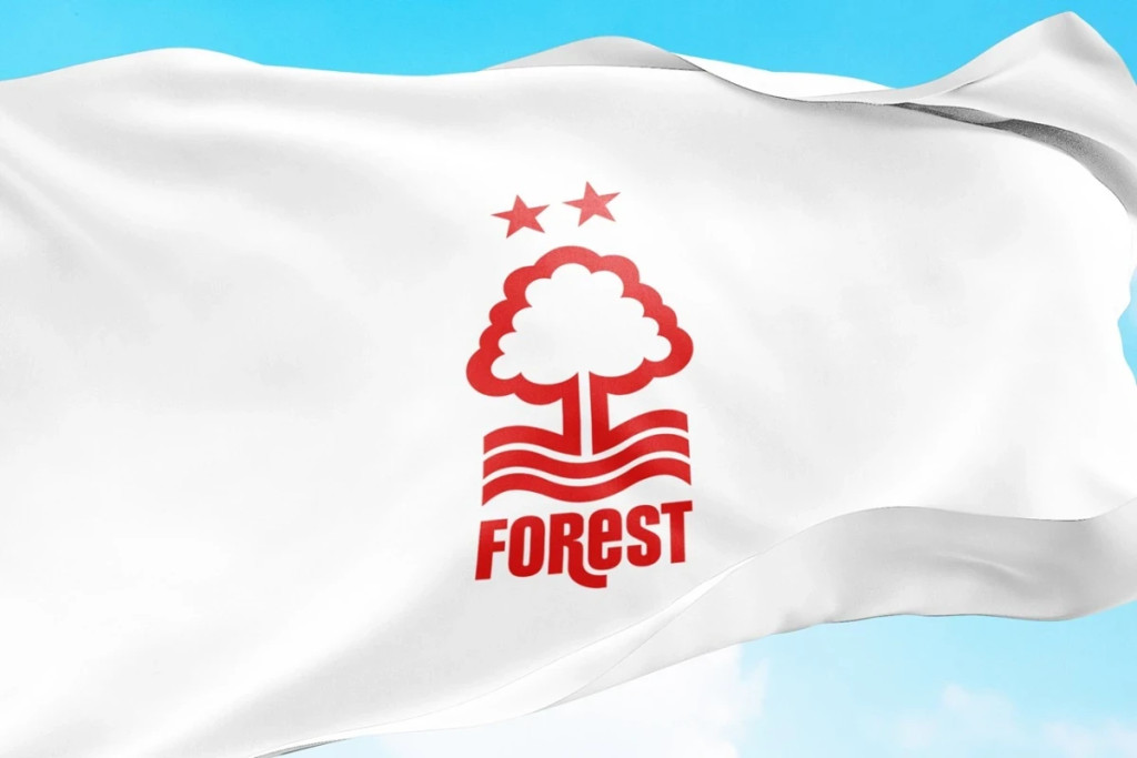 Nottingham - Newcastle United typy, analiza spotkania i kursy (10.05.2026)