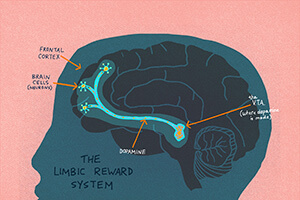 Wizualizacja mózgu człowieka.