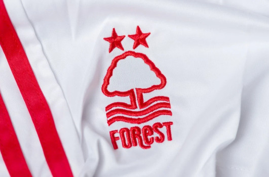 Zapowiedź spotkania Nottingham Forest – Coventry City. Transmisja, przewidywane jedenastki i sędzia (19.09.2026)